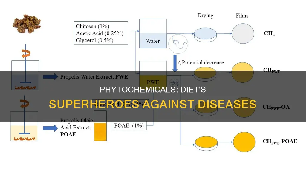 why are phytochemicals important in the diet