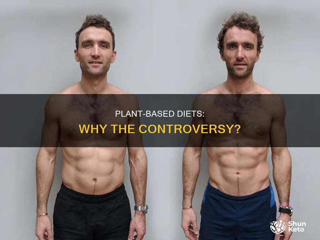 why are plant based diets controversial