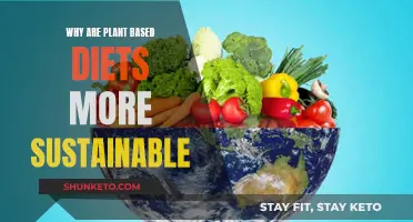 Plant-Based Diets: Sustainable, Healthy, and Ethical Choice