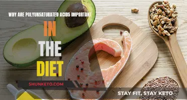 Polyunsaturated Fats: Essential Dietary Components