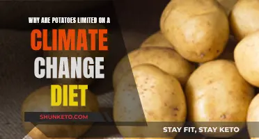 Climate Diet: Why Potatoes Should Be Limited