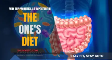 Probiotics: Balancing Your Gut, Boosting Your Health