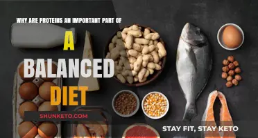 Proteins: Essential Building Blocks of a Balanced Diet