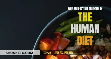 Protein Power: Essential Human Diet Building Blocks