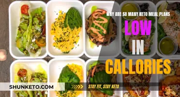 Keto Meal Plans: Low-Calorie, High-Fat Fuel?