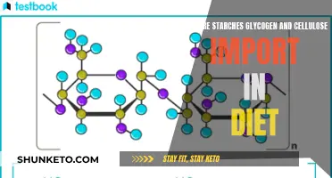 Starches, Glycogen, and Cellulose: Energy, Metabolism, and Health