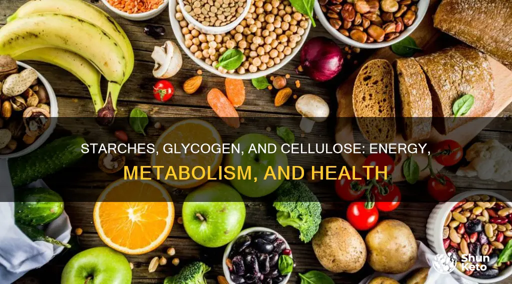 why are starches glycogen and cellulose import in diet