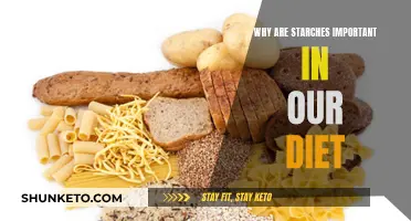 Starchy Foods: Energy Essentials for a Balanced Diet