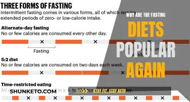 Fasting Diets: Why Are They Trending Once More?
