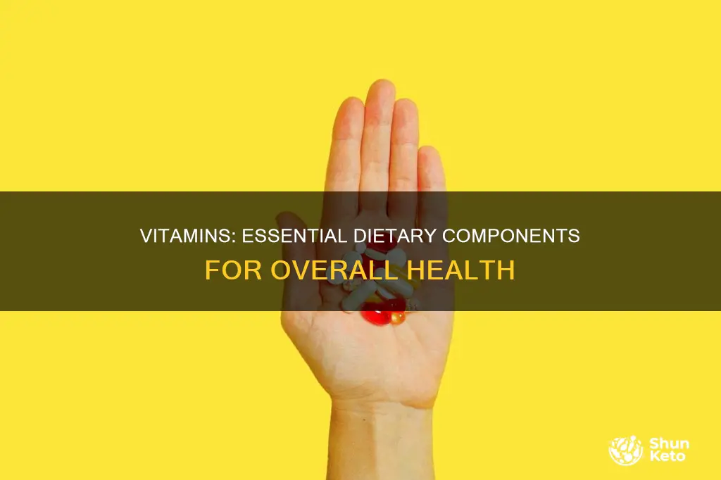 why are vitamins necessary in the diet long answer
