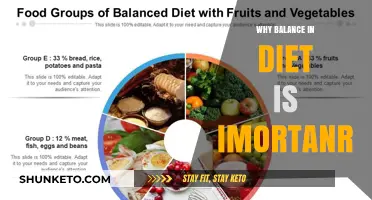 Balancing Your Diet: The Key to a Healthy Life
