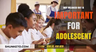 Healthy Eating Habits: Adolescent's Balanced Diet Essentials