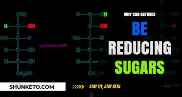 Why Ketoses Act as Reducing Sugars: Unraveling the Chemical Mechanism