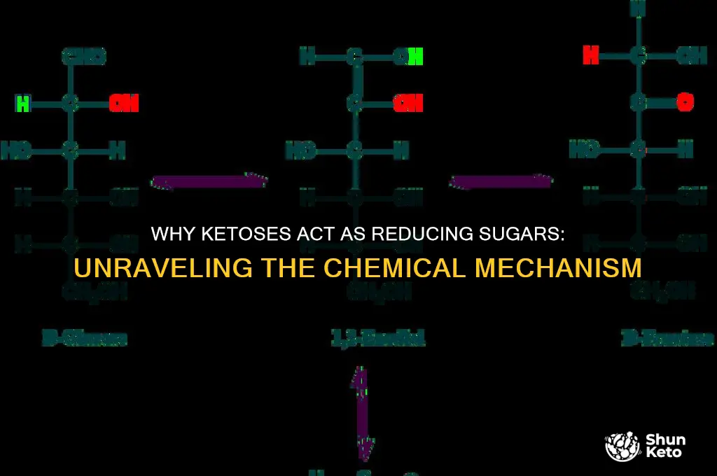 why can ketoses be reducing sugars