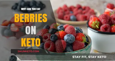 Keto-Friendly Berries: Low-Carb Fruits to Enjoy on Your Diet
