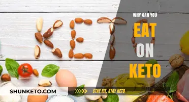 Eating on Keto: Understanding the Foods That Keep You in Ketosis