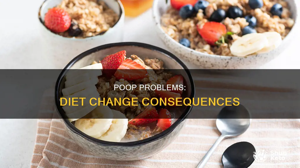 why cant i poop after changing diet