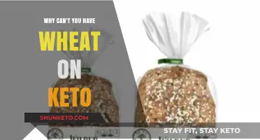 Why Wheat and Keto Don’t Mix: Understanding Carb Limits