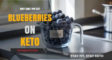 Blueberries and Keto: Why This Fruit Doesn't Fit the Diet