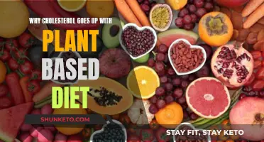 Plant-Based Diets: Unraveling the Cholesterol Conundrum