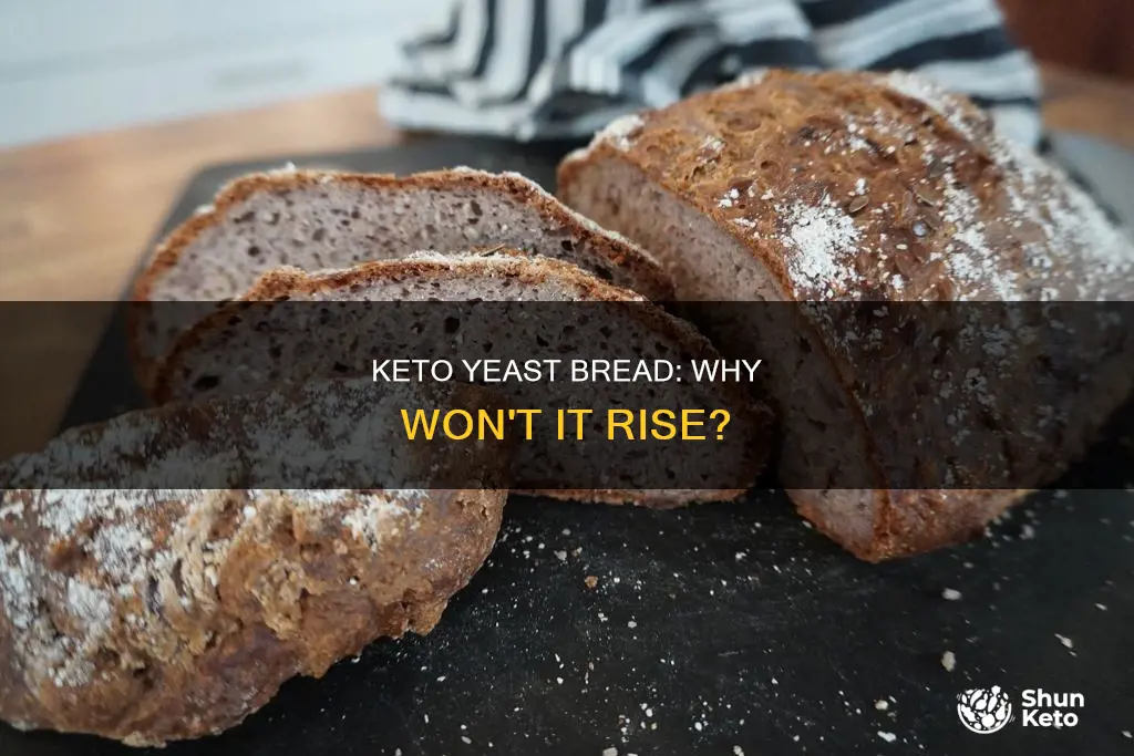 why did my keto yeast bread not rise