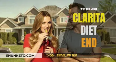 Santa Clarita Diet: Why Did It End?