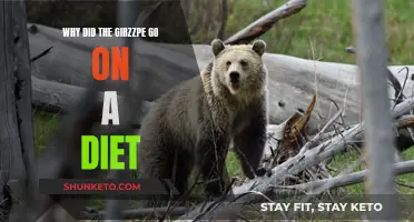 Dieting: Why Grizzlies Go on a Weight Loss Journey