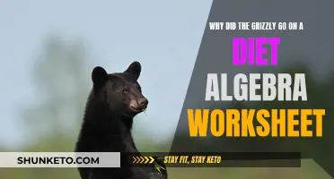 Grizzly's Diet: Algebraic Worksheet Mystery Unveiled