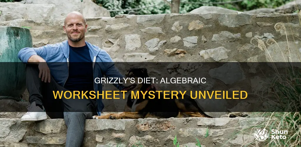why did the grizzly go on a diet algebra worksheet