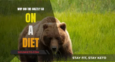 Grizzly's Diet: A Weighty Matter of Health