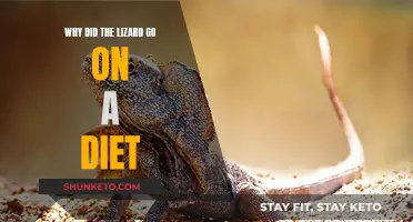 Lizard's Diet: Unveiling the Reason Behind Weight Loss