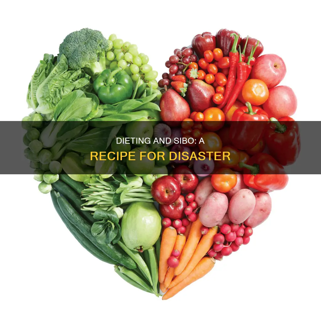 why dieting causes sibo