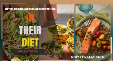 Proteins: Essential for Humans and Animals Alike