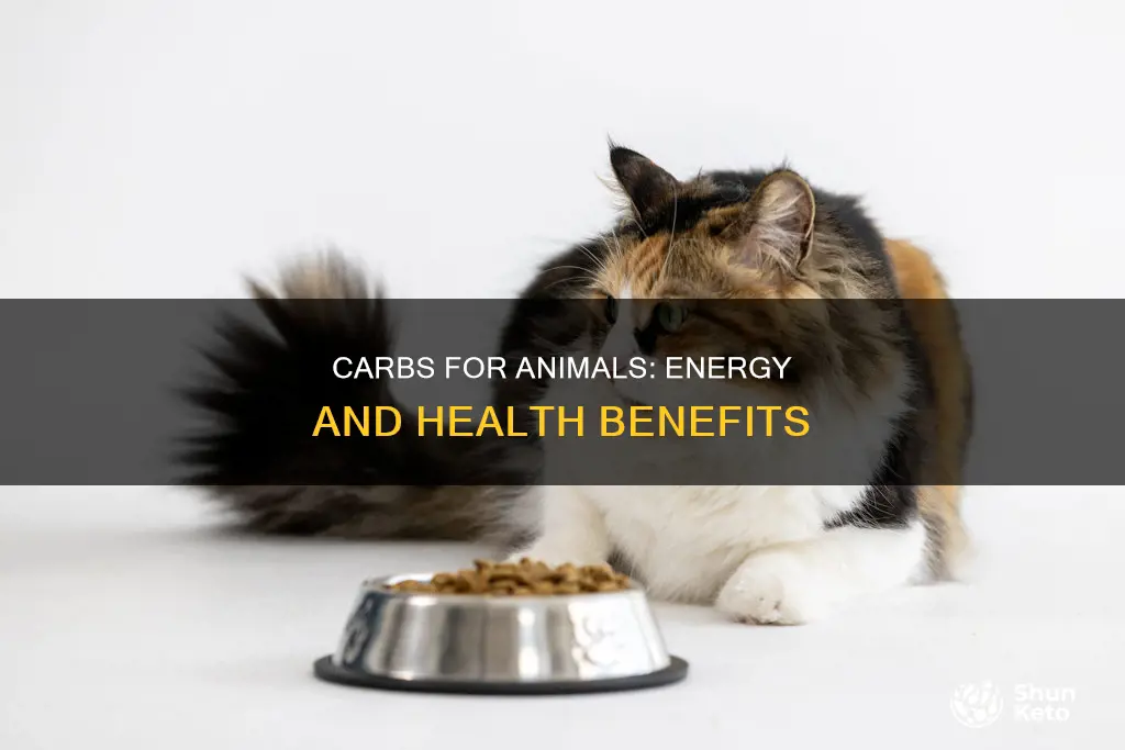 why do animals need carbohydrates in their diet