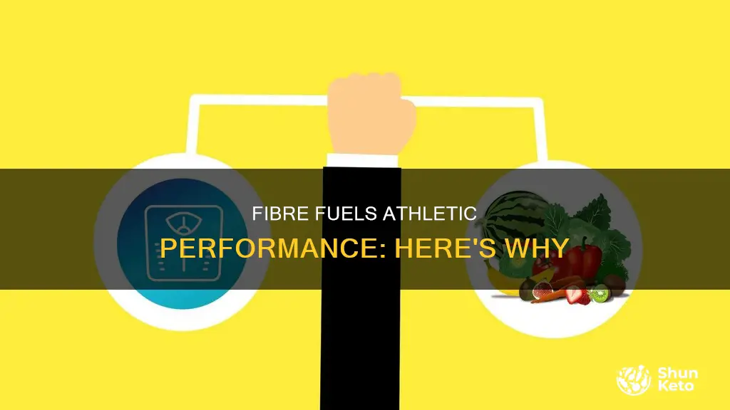 why do athletes need fibre in their diet