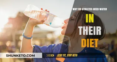 Hydration: Essential for Athletes' Performance and Recovery