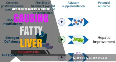 Choline Deficiency: A Silent Cause of Fatty Liver