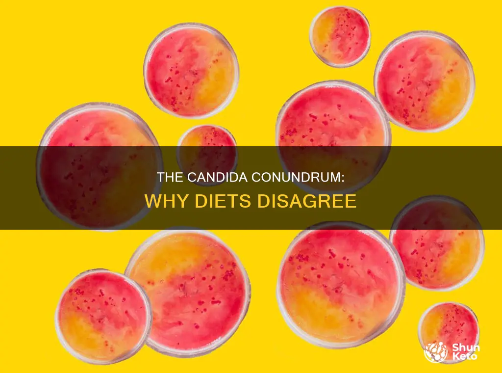 why do different anti-candida diets plans conflict