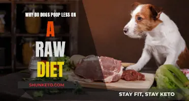 Raw Diets: Less Poop, More Benefits for Dogs