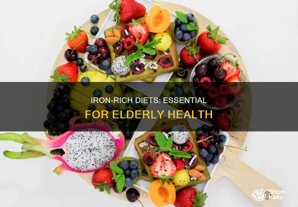 why do elderly need iron in their diet