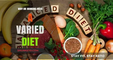 Diverse Diets: Key to Human Health
