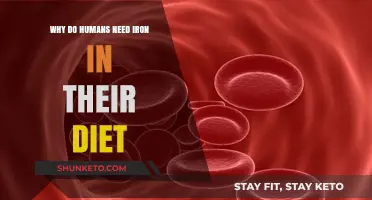 Iron Intake: Essential for Human Health and Wellbeing