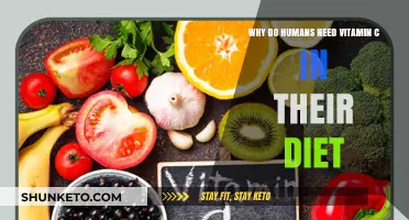Vitamin C: Essential for Human Health and Wellbeing