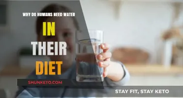 Water: Essential for Human Health and Nutrition