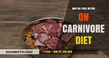 Carnivore Diet: Feeling Better, Being Better
