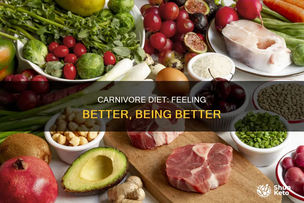 why do i feel better on carnivore diet
