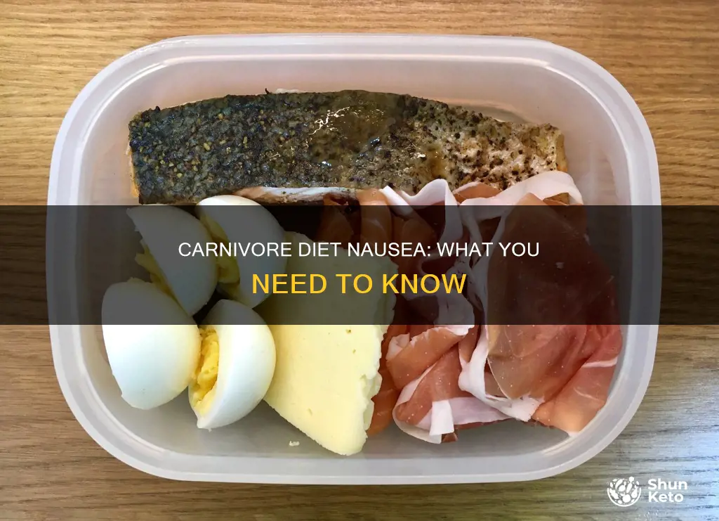 why do i feel nauseous on carnivore diet