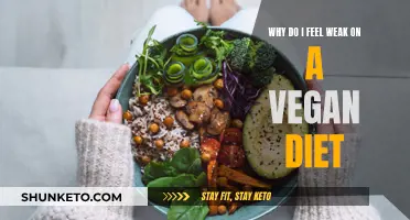 Vegan Diet Weakness: Nutritional Deficiency or Misinformation?