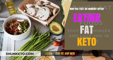 Keto Hunger After Fat: Understanding Post-Meal Cravings on a Low-Carb Diet