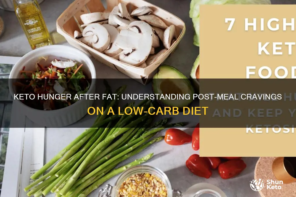 why do i get so hungry after eating fat keto